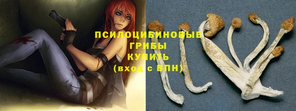 дмт Михайлов