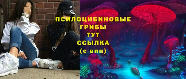 молекула духа Армянск