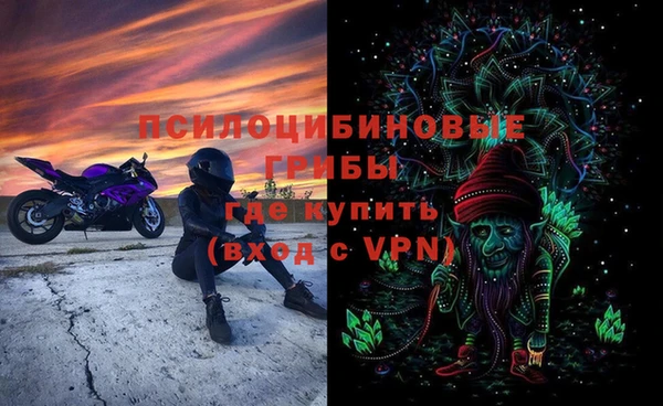 стаф Баксан