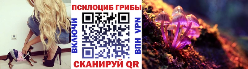 Галлюциногенные грибы Magic Shrooms  Льгов 